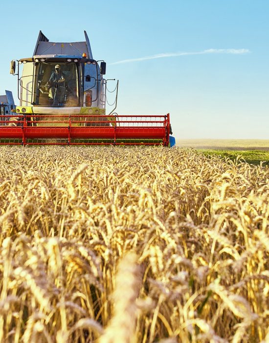 organic-news-21 organic-news-21